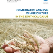 Comparative Analysis of the Agricultural Sector in the South Caucasus (2013)