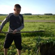 Involuntary dilemma of Georgia’s children: Labour vs Education